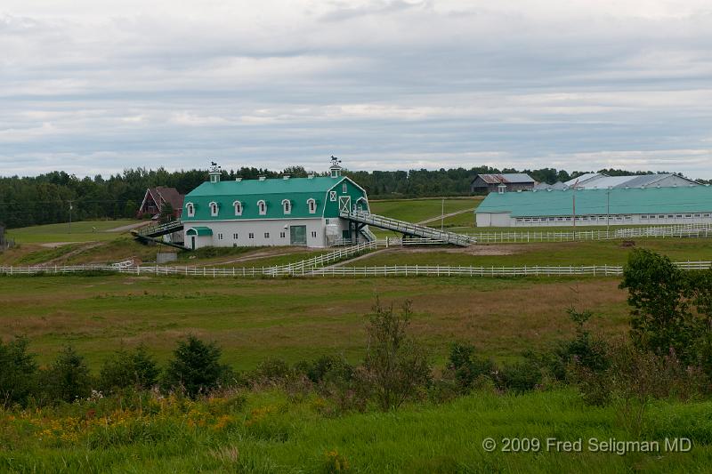 20090829_135816 D3.jpg - Lake St Jean Region Farm